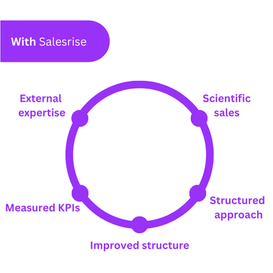 With Salesrise